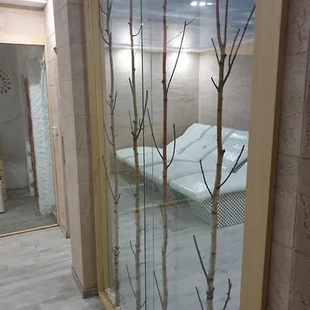 Aurora P 62 コパオニク